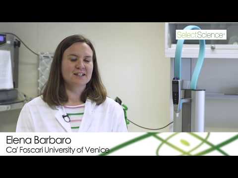 Elena Barbaro Ca' Foscari University of Venice