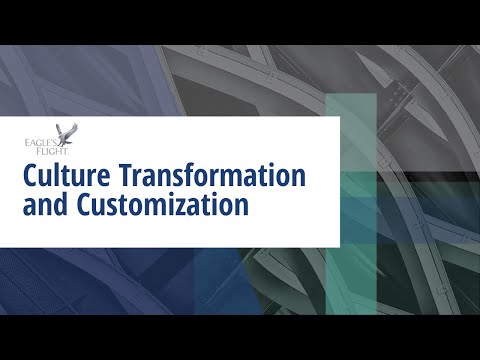 Culture Transformation and Customization - Eagle's Flight