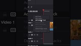 How To Add Subtitles In DaVinci Resolve 20 Fast!