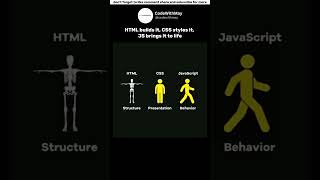 How Websites Actually Work (HTML, CSS, JS) #coding #html #javascript #htmlcss