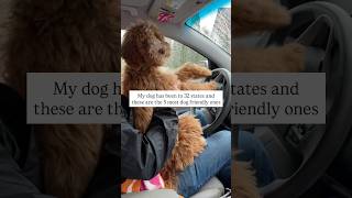 Top 5 Dog-Friendly states for traveling with your pet!