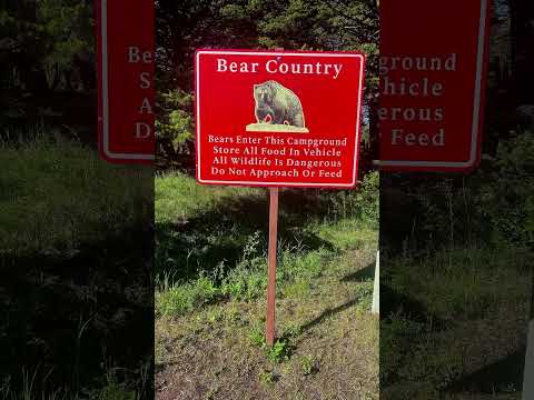 Glacier National Park. What a playground of fun, wildlife and hikes. #travelvlog #travel #montana