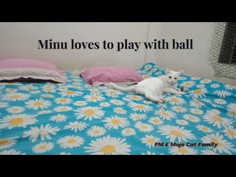 Minu love's to play with balls 🏀😍🤩