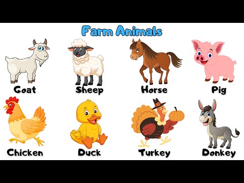 Meet the Farm Animals 🐄🐑🐖🐔 | Learn with Fun #kids #farmanimals #english