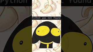 How to Become a Programmer in 45 Seconds #python