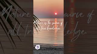 Quotes | Berry thought #berrythought