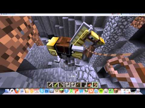 Funny Minecraft Timmy the Horse