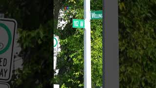 Wellington Bridge to be replaced, closure to last a year