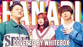 【心に響く歌】HANABI / Mr.Children covered by WHITEBOX【歌ってみた】