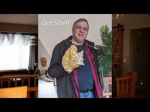 CISO Got Shell