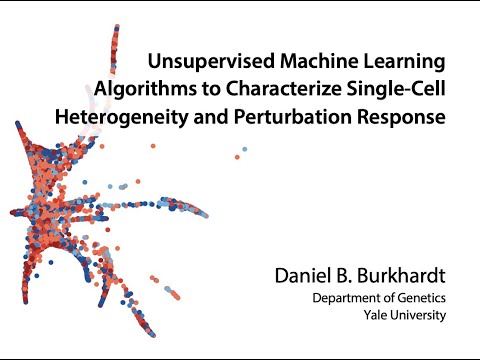 Characterizing Single-Cell Data with Unsupervised Machine Learning