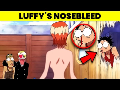 14 One Piece SECRETS Almost NOBODY Knows!