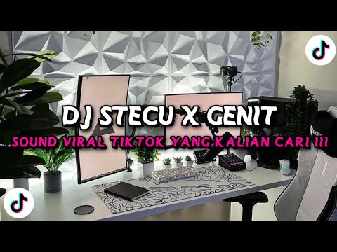 DJ STECU GENIT || TREND TIKTOK Ryco Ria TERBARU 2025