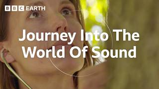 The Remarkable Science of Sound | Sound Waves: The Symphony of Physics | BBC Earth Science