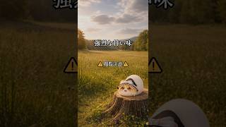 【ゆ虐】強烈な甘い味
