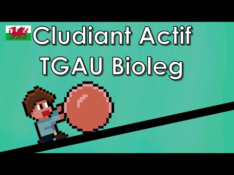 Esbonio Cludiant Actif - Bioleg CBAC