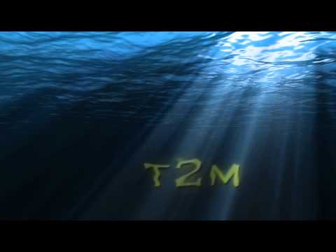 Psunami after effects Template Download