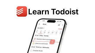 Learn Todoist in One Video