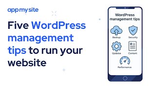 Top 5 WordPress Management Tips for Better Performance