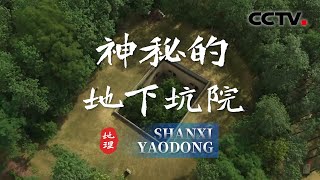绵延的黄土台塬上竟有数百个地下坑院！关中平原为何会出现一座建造于地下的村落？20250526 神秘的地下坑院 | CCTV科教《地理·中国》