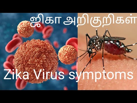 Red alert : Zika virus/ ஜிகா வைரஸ் வராமல் தடுப்பது எப்படி?