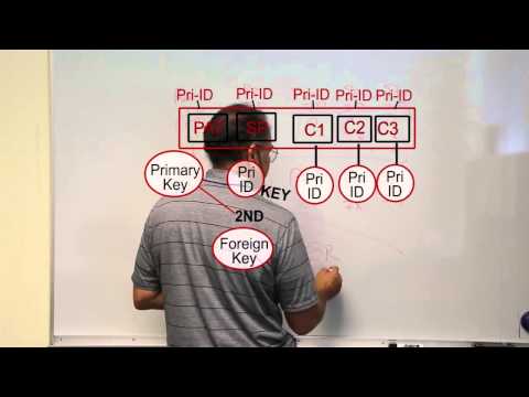 ITSE 2309 The Relational Database Model Competency 2 3