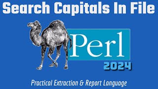 Perl Programming: How To Extract DATA From Text Files: Code Example 2024