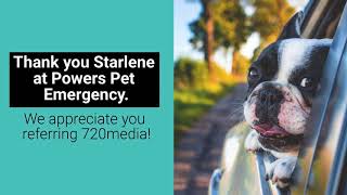 Colorado Springs web design responsive mobile friendly wordpress