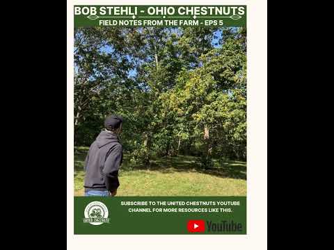 Field Notes From The Farm: Bob Stehli - Ohio Chestnuts -Eps 5 #chestnuts #unitedchestnuts #bobstehli