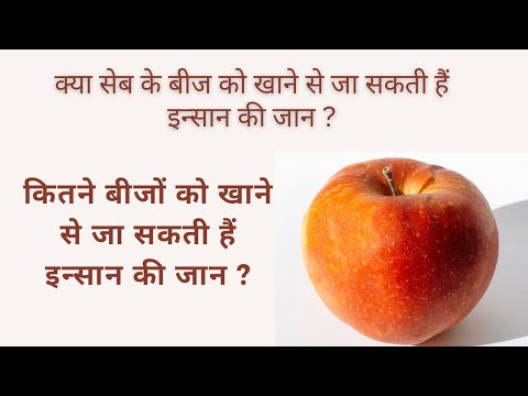 kya seb ke bijo ko khane se ja sakti hai insan ki Jan? kitne bijo ko khane se ja sakti hai Jan ?