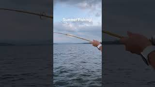 How To Have Fun Fishing! #fishing #fishingfun #fishingvideo #fishingtrip #perch