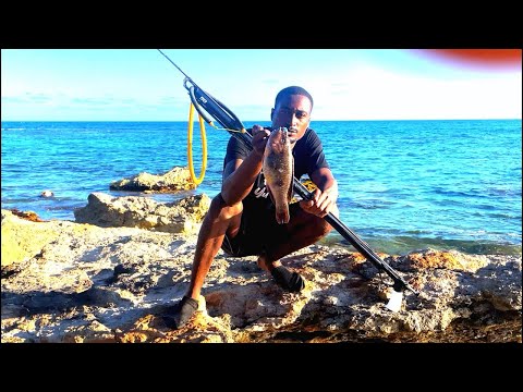 Hunting and eating what we catch at sea