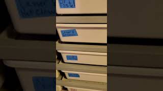 Ball Python Breeding #shorts #odgcexotics #ballpython #royalpython #breeding #clown