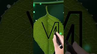 M Nane Status Video #mnaamwalelog #mname #shots #shorts #shortvideo
