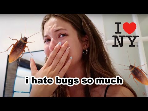 NYC Summer Vlog 11