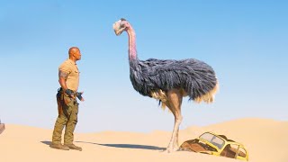 Jumanji: The Next Level : Ostrich Chase Scene | Movie Scene