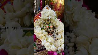 Krishna mogra na phoolo #shorts #riya #trending #youtube #programerved #shyam #janki