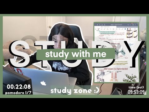 cozy asmr live study w/ me | 6 hour