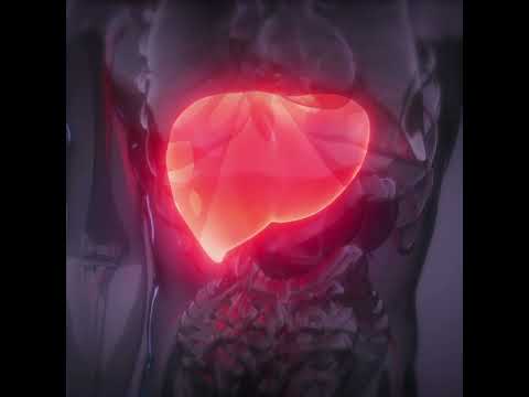 Liv Pure for Weight Loss: The Science of Liver-Centric Wellness