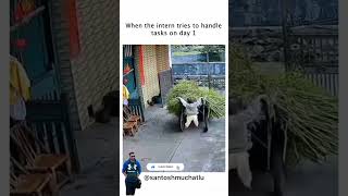 Interns  #badcode #developersoftware #usa #production #softwaredeveloper #software #defects #tests