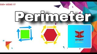PERIMETER // Explanation // Study on the Go...