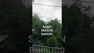 Dancing Bamboo, RAINY SEASON Baguio #travel #philippines #itsmorefuninthephilippines #baguio #bamboo