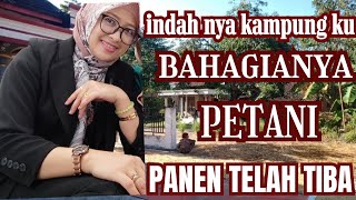 HAPPY FARMERS, THE HARVEST HAS ARRIVED ‼️MY BEAUTIFUL VILLAGE