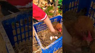 #short #agriculture #agritools#farming2024  #youtubeshorts #EliteShortsUnleashed #1653