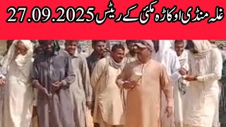 Maize rate today // okara mandi maize rate // maki rate today okara // maize price Punjab Pakistan