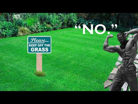 should you touch grass? #shitpost
