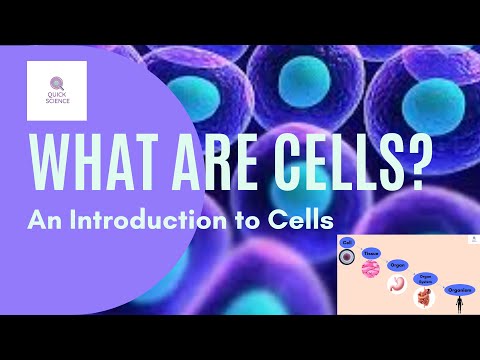 Cells - Introduction to Cells - The Unit of Life, Science , Biology