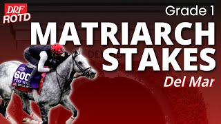 DRF Sunday ROTD | G1 Matriarch at Del Mar | November 30, 2025
