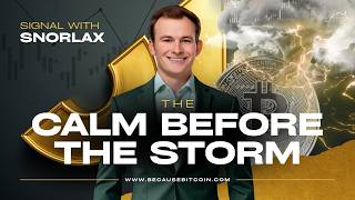 BTC: The Calm Before The Storm ⛈️ | SIGNAL WITH SNORLAX