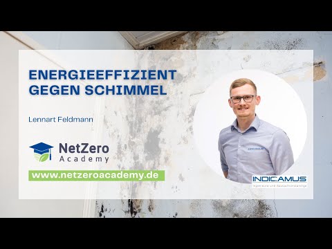 Energieeffizient gegen Schimmel